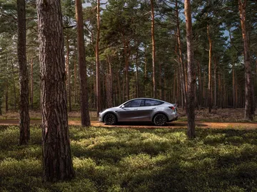 Vista lateral de un Tesla Model Y 2024 estacionado entre árboles