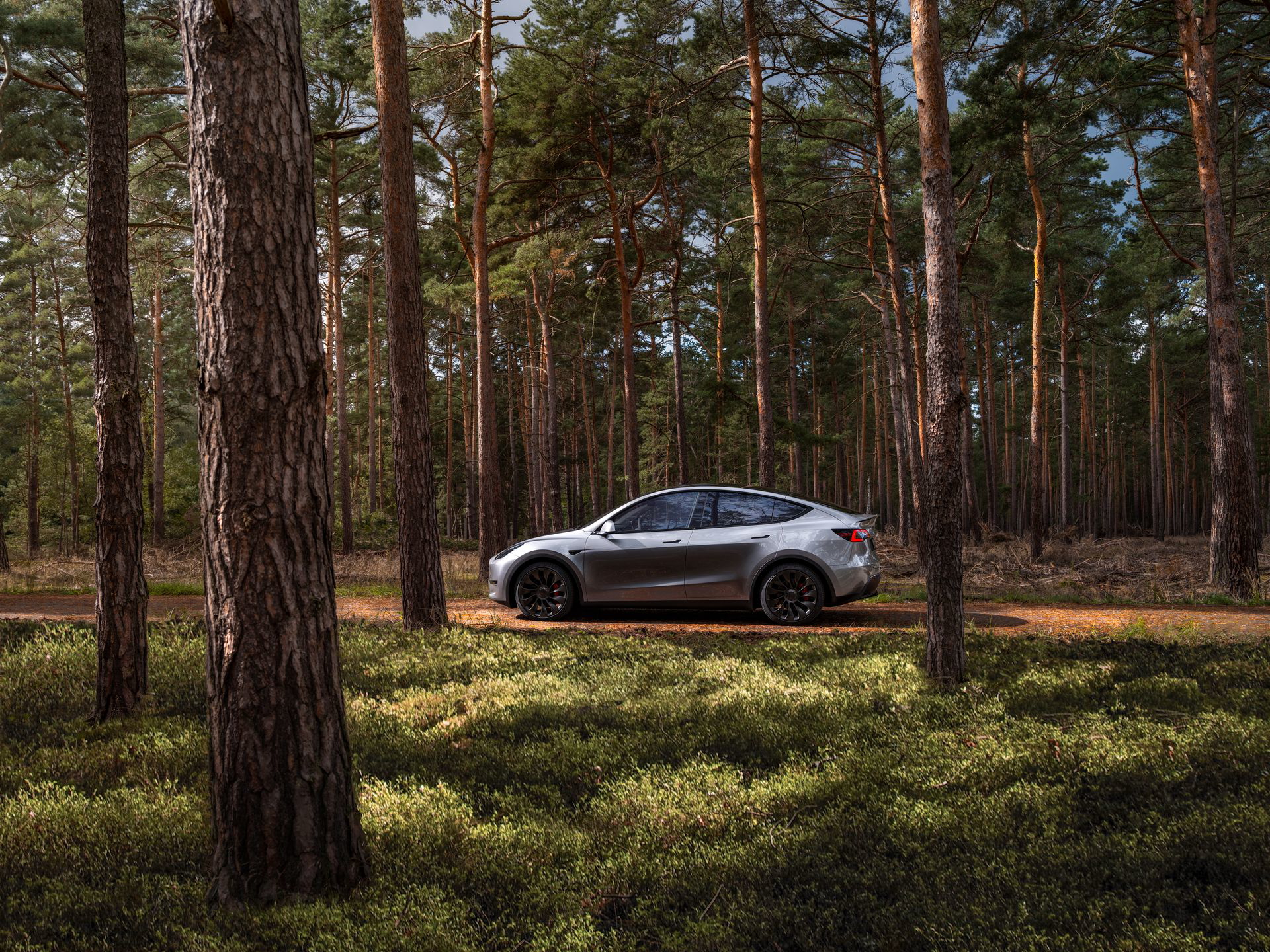 Vista lateral de un Tesla Model Y 2024 estacionado entre árboles