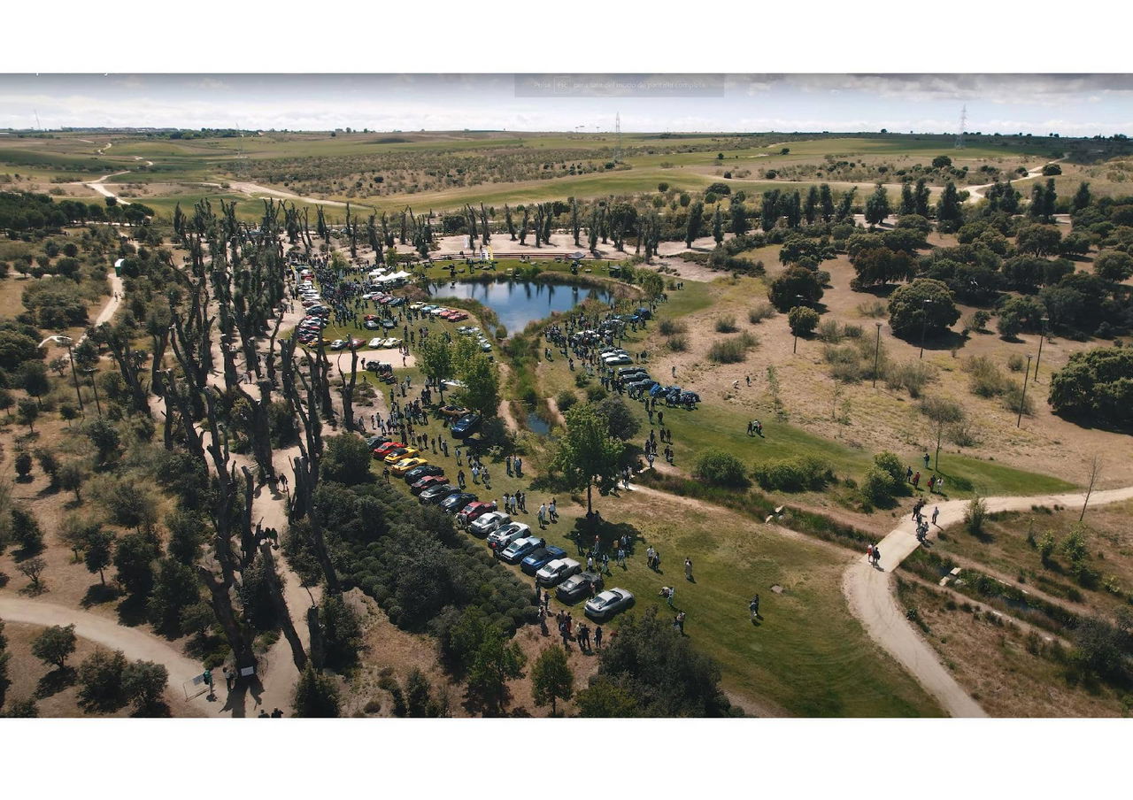 Vista aérea de una concentración de coches clásicos en un entorno natural.