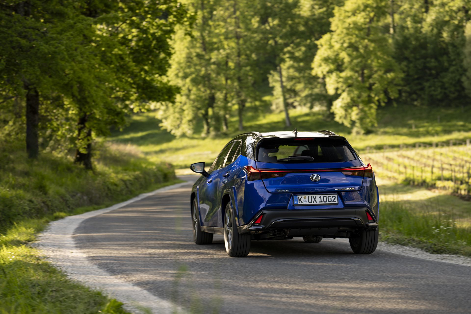 Vista dinámica del Lexus UX 300h mostrando su línea y la trasera en movimiento