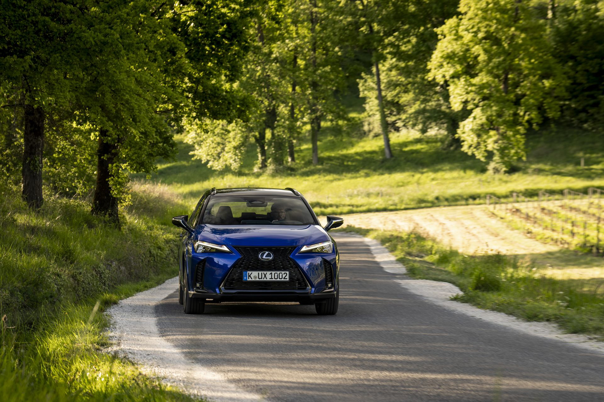 Lexus UX 300h en acción, mostrando su agilidad en carreteras serpenteantes.