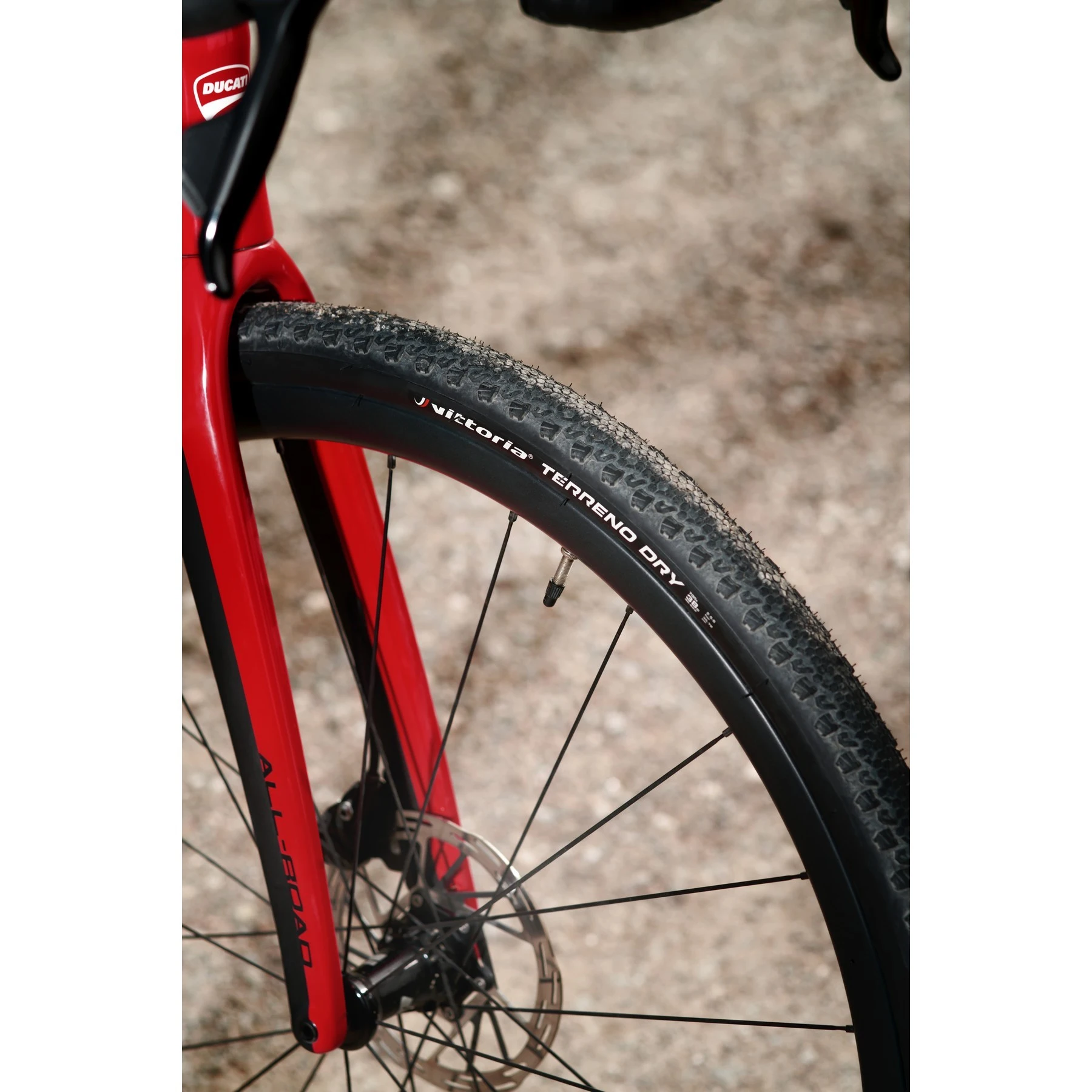 Vista lateral de la Ducati Futa, enfocando en la horquilla y freno de disco.