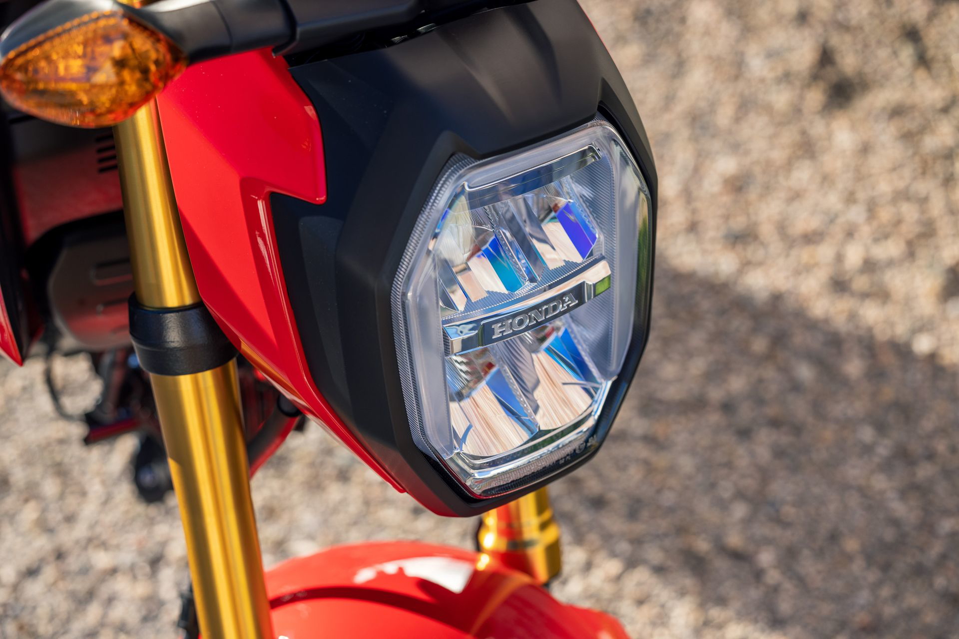 Óptica delantera de la Honda MSX125 Grom con iluminación LED.