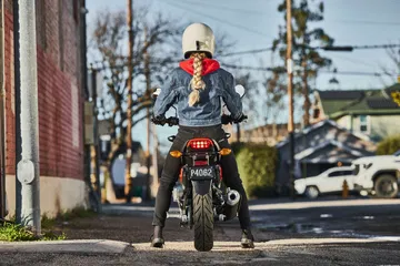 Honda MSX125 Grom 2024, un ciclomotor eficiente y atractivo.