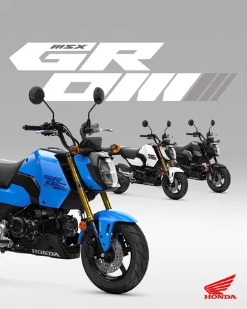 Nueva MSX125 Grom, diversión y eficiencia garantizada.