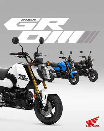 Nueva Honda MSX125 Grom 2024, economía y diversión en dos ruedas.