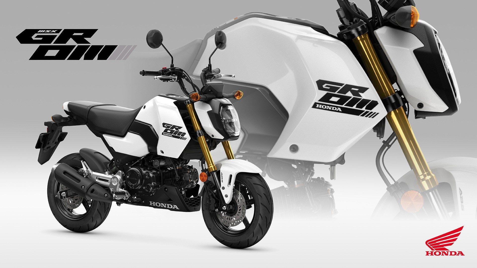 Honda MSX125 Grom, eficiencia y diversión sobre dos ruedas.