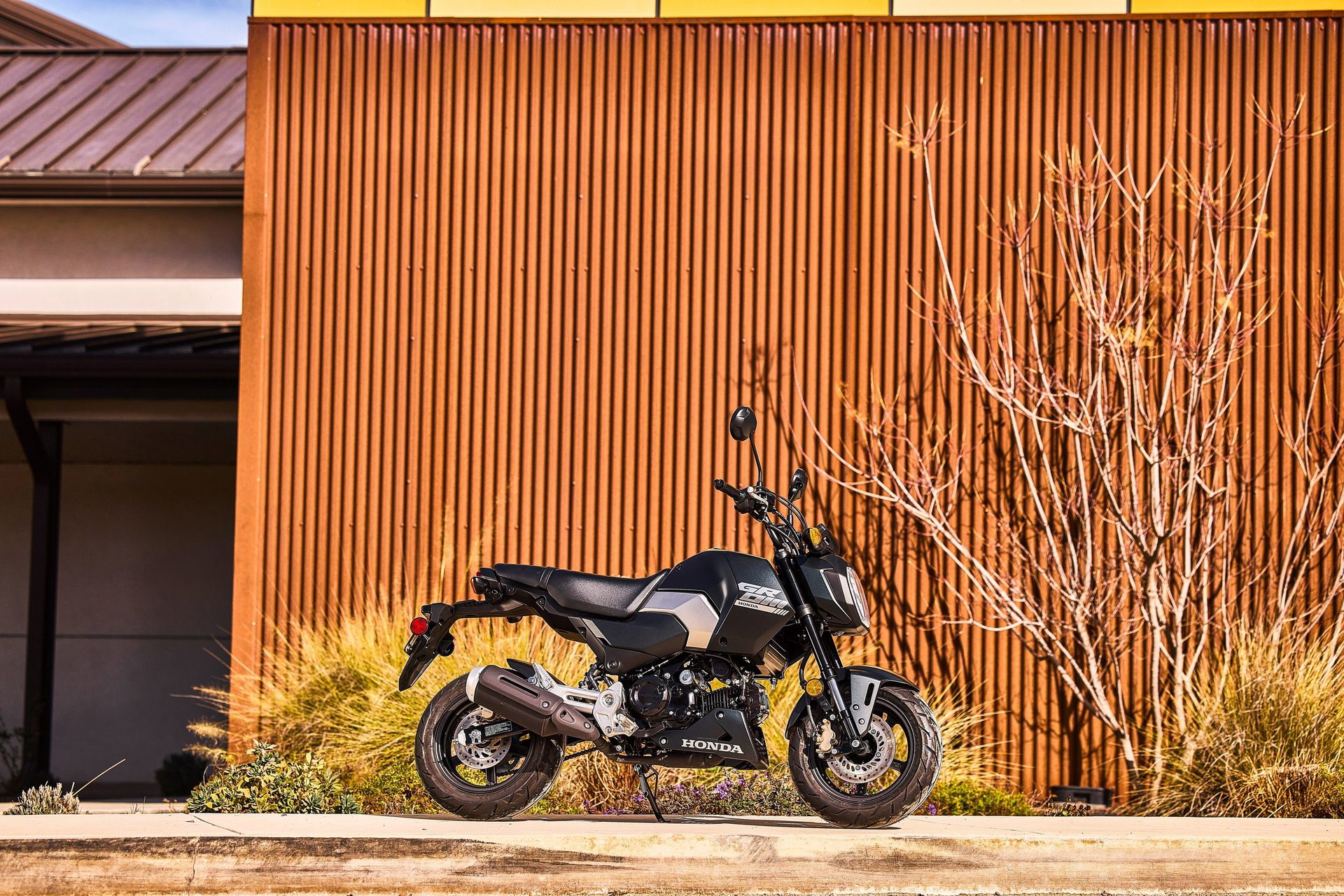 La Honda MSX125, también conocida como Grom, en un entorno urbano