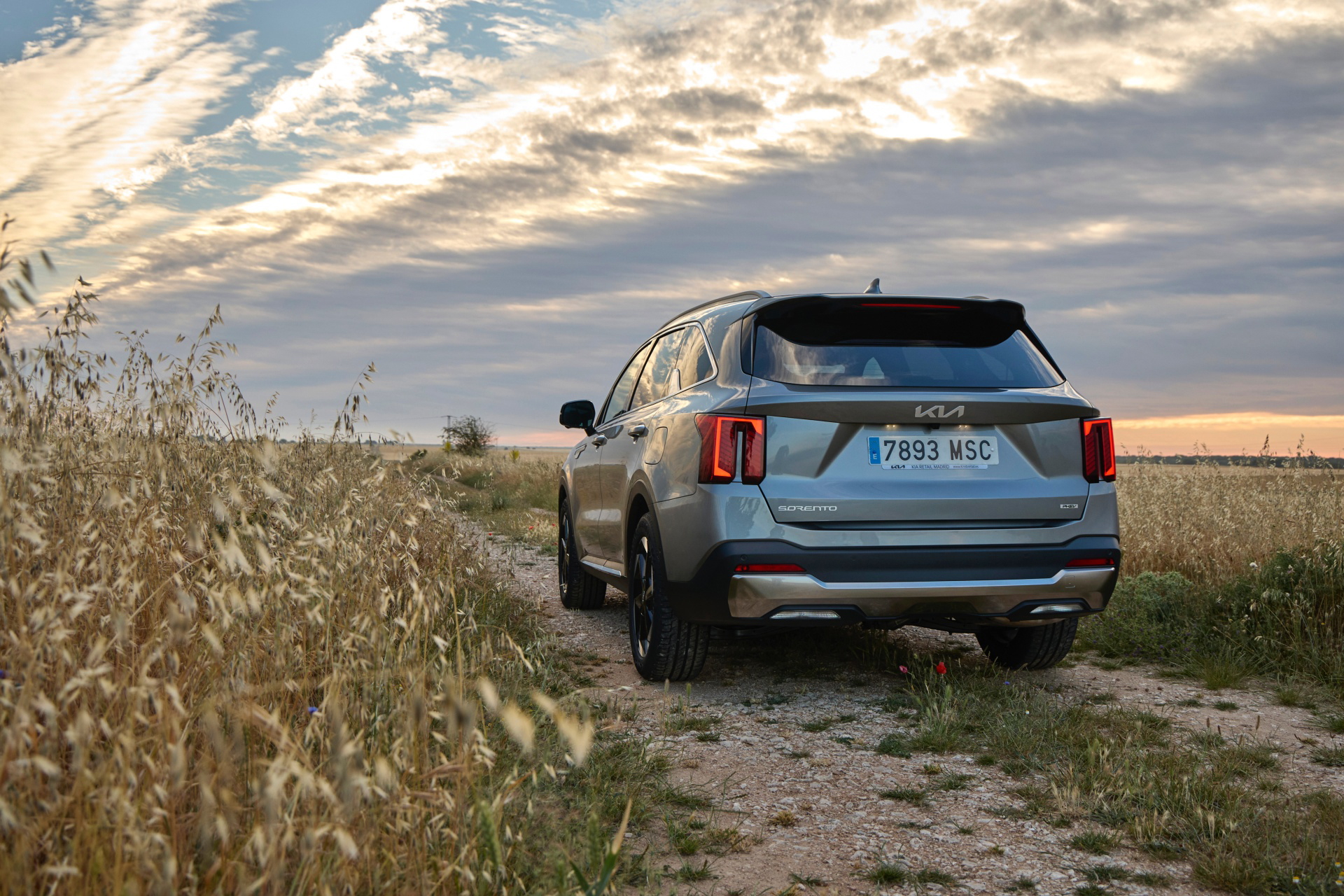 El Kia Sorento 2024, con su imponente diseño trasero y lateral, destaca en entornos naturales.