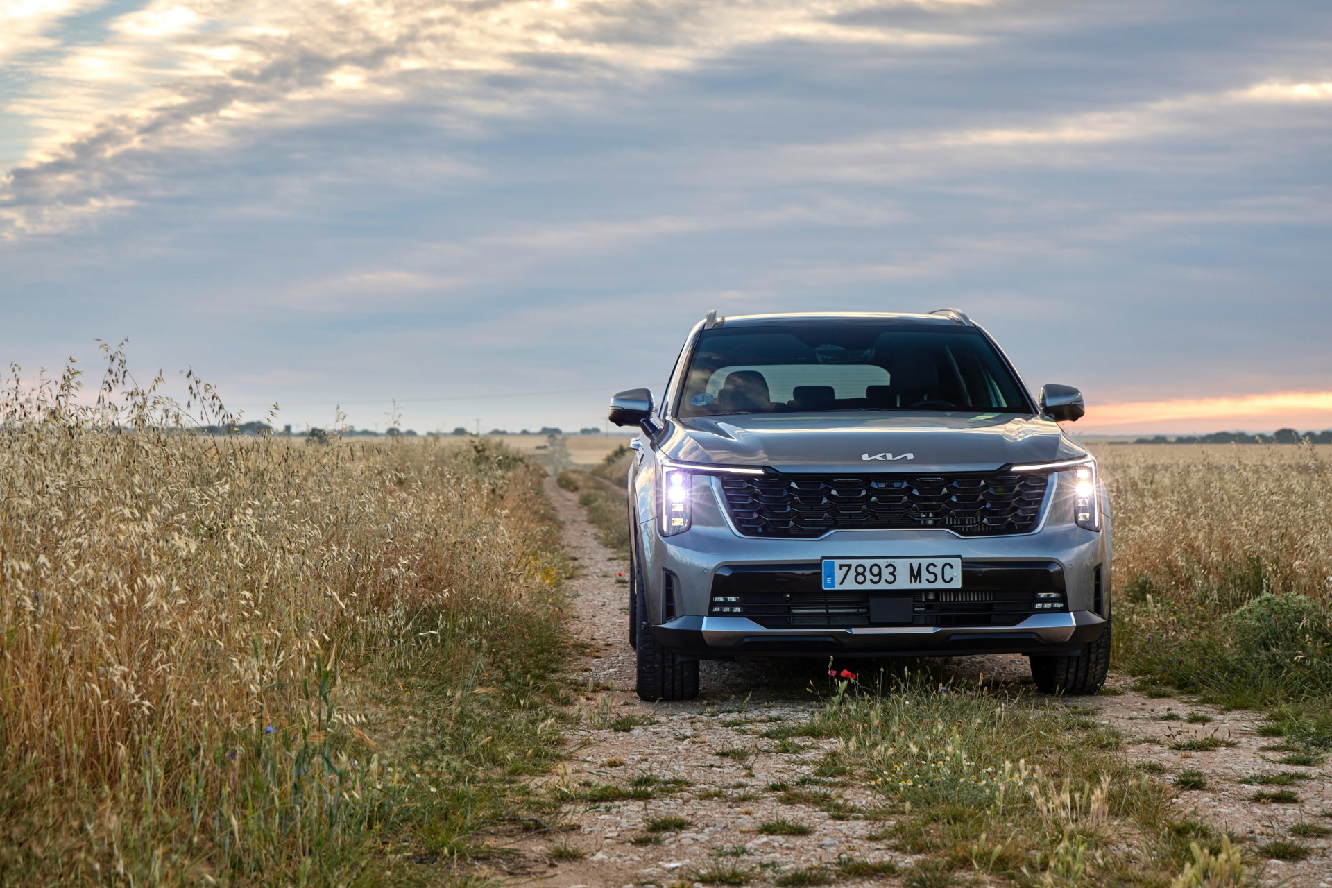 Nuevo Kia Sorento 2024 en entorno rural, mostrando su robustez y diseño actual.