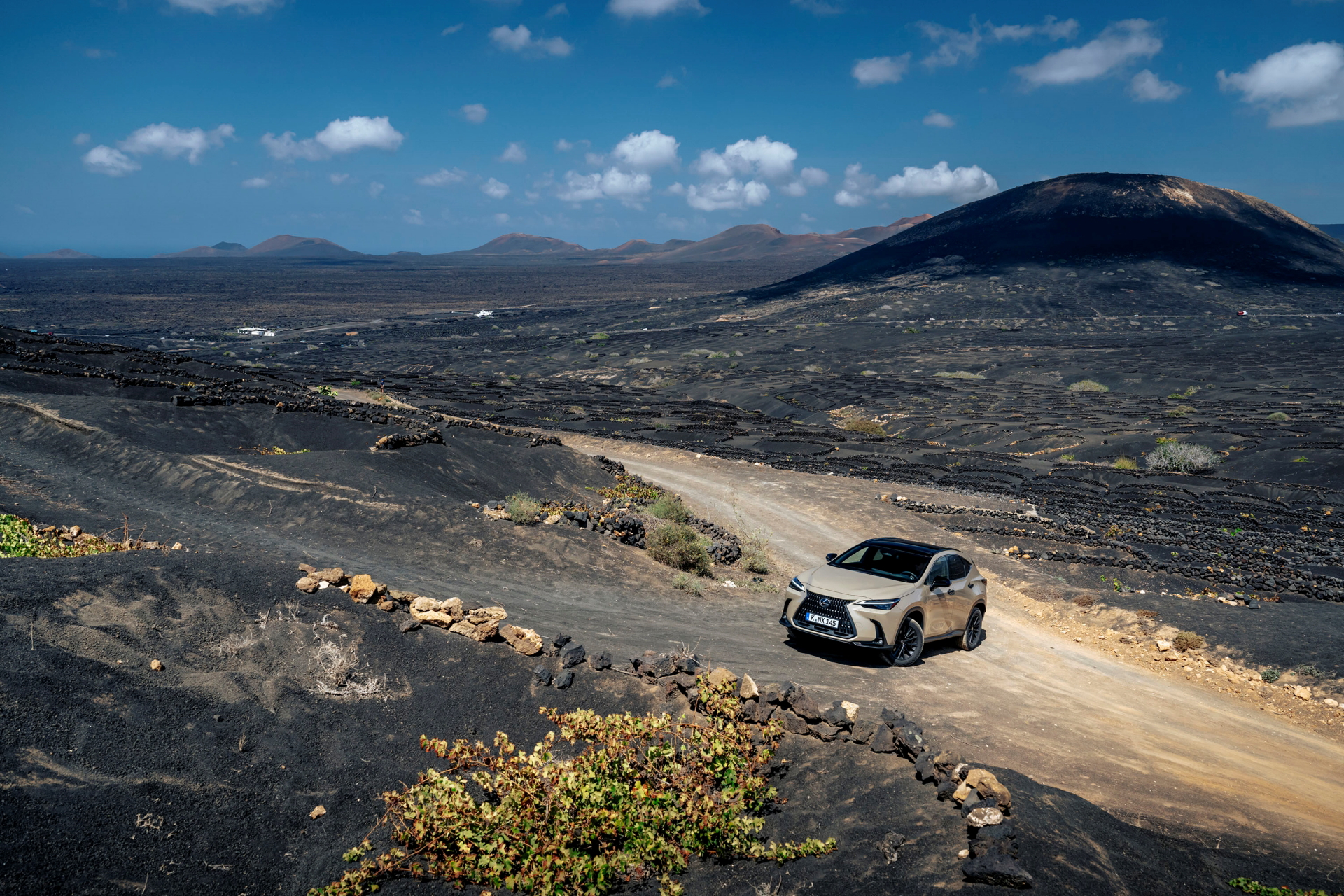 Lexus NX en entorno natural mostrando su capacidad todoterreno.