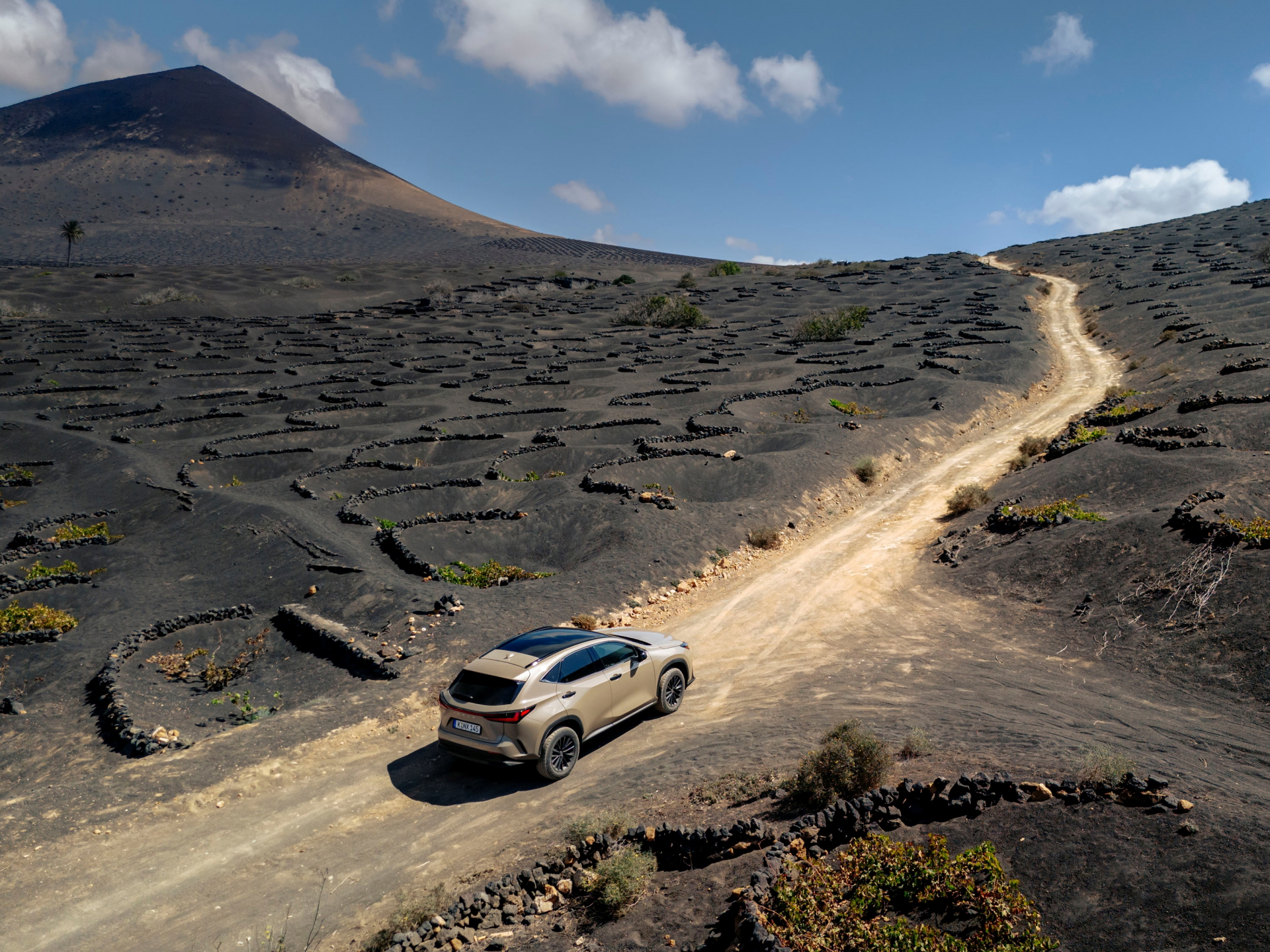 El Lexus NX 350h Overtrail muestra su capacidad todoterreno en un entorno desafiante.
