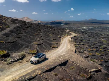 Lexus NX 350h Overtrail dominando caminos accidentados con su tracción mejorada.