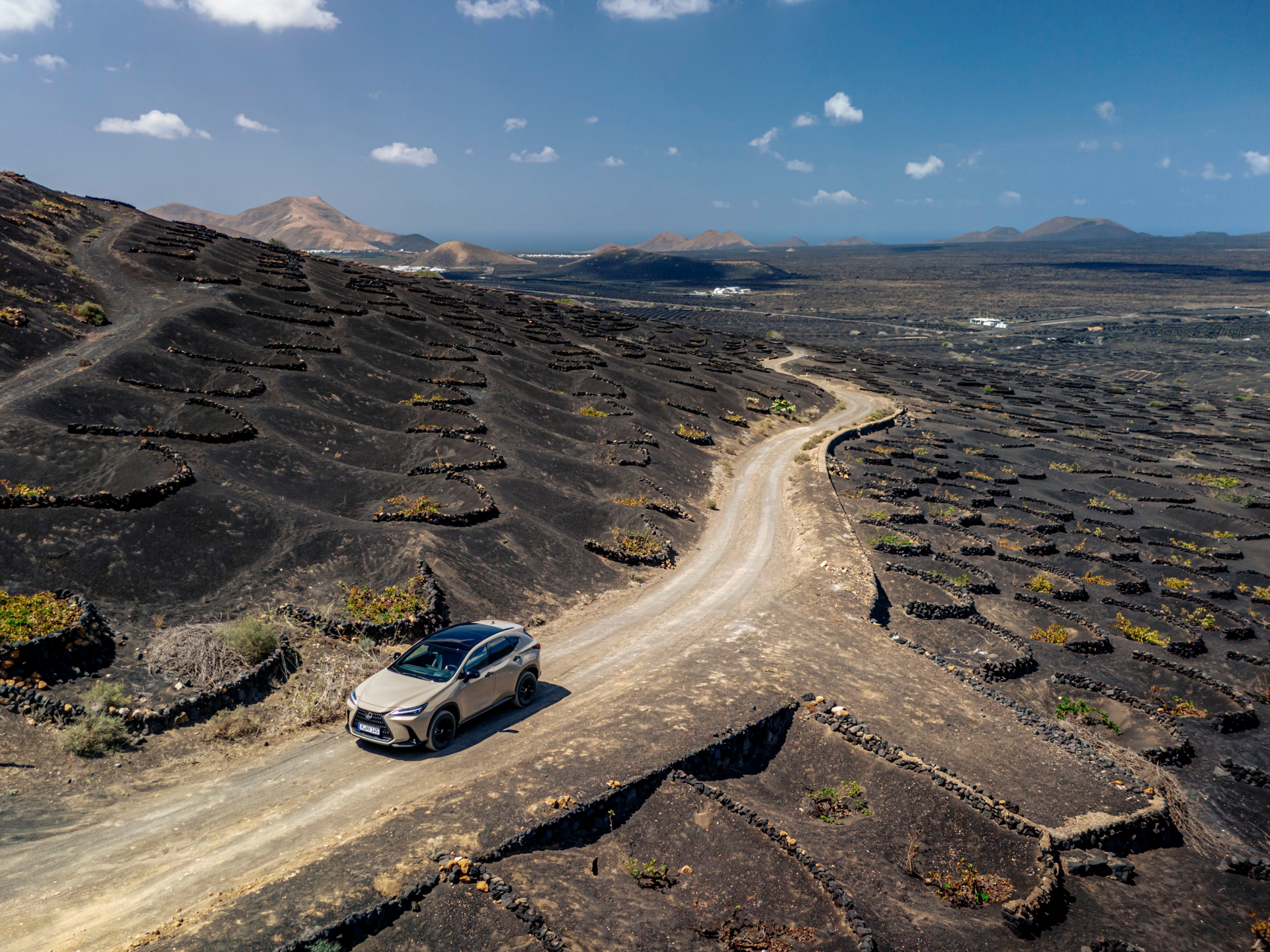 Lexus NX 350h Overtrail dominando caminos accidentados con su tracción mejorada.