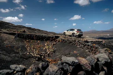 Lexus NX 350h Overtrail desafiando terrenos escarpados