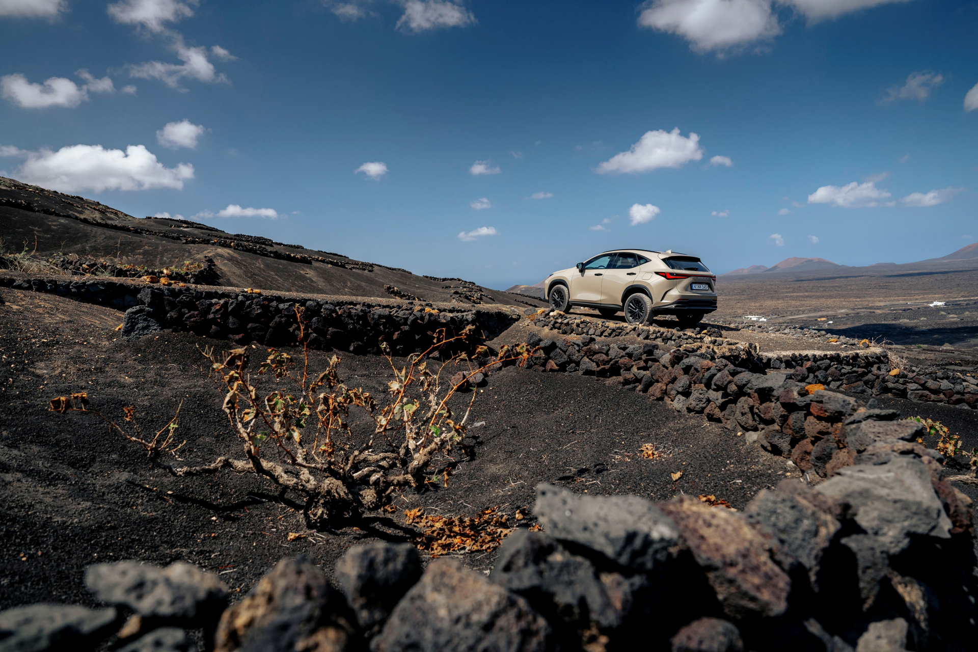 Lexus NX 350h Overtrail desafiando terrenos escarpados