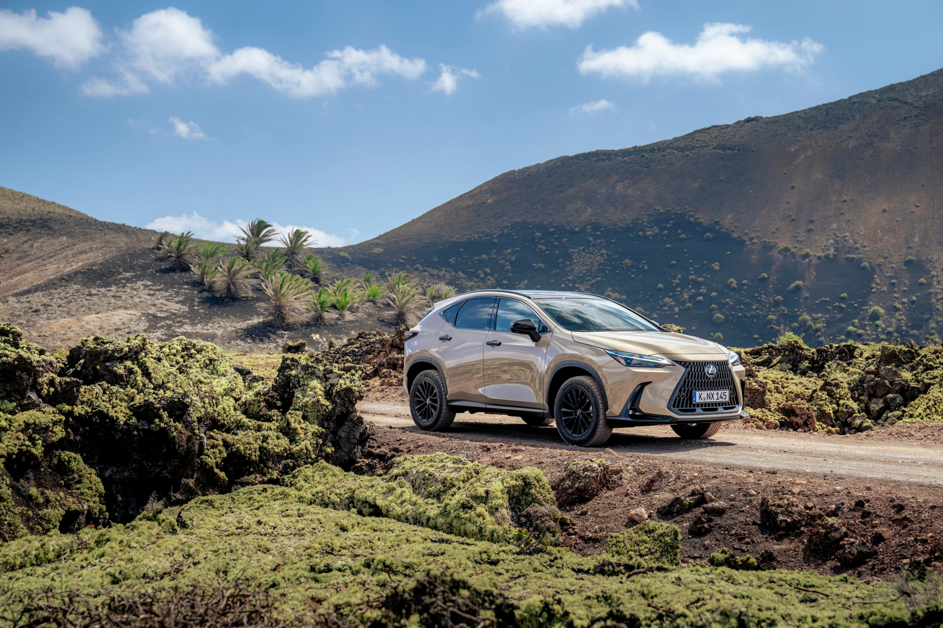 Vista lateral del Lexus NX 350h Overtrail mostrando su capacidad todoterreno