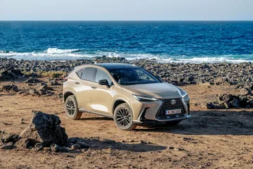 Vista lateral del Lexus NX 350h Overtrail 2024 en entorno natural.