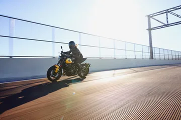 Vista lateral Triumph Trident 660 con iluminación natural