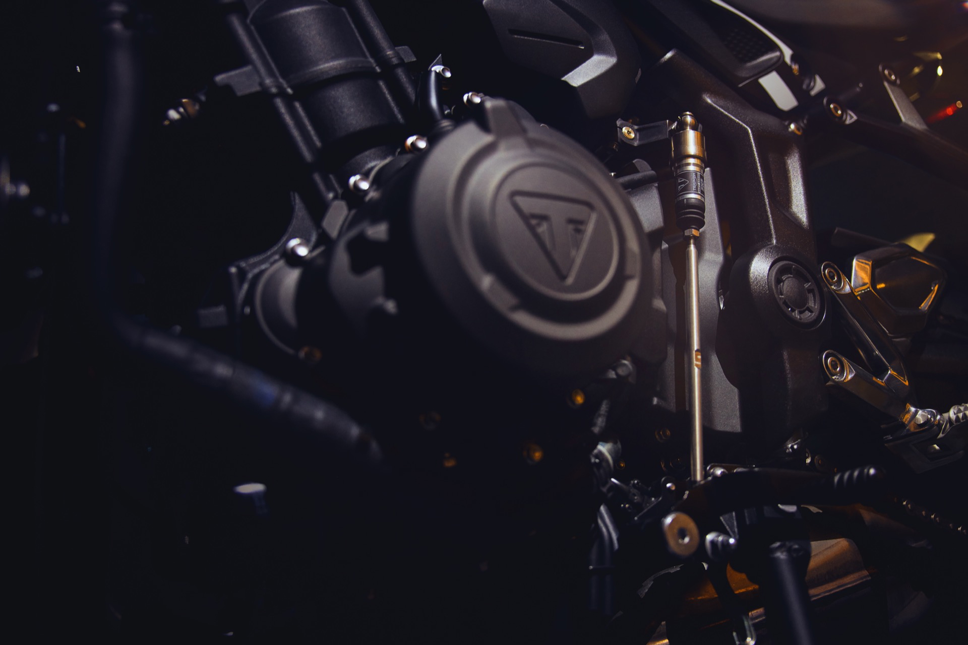 Vista lateral del motor tricilíndrico que equipa la Triumph Trident 660.