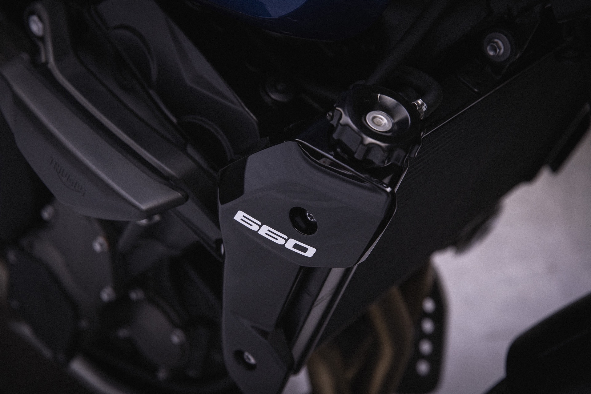 Vista parcial enfocando en el distintivo