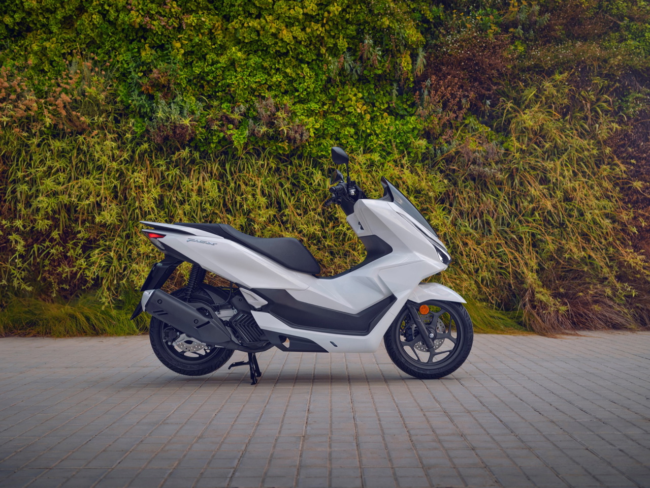 El nuevo Honda PCX 125 2025 muestra su diseño aerodinámico y moderno, prometiendo eficiencia y fiabilidad.