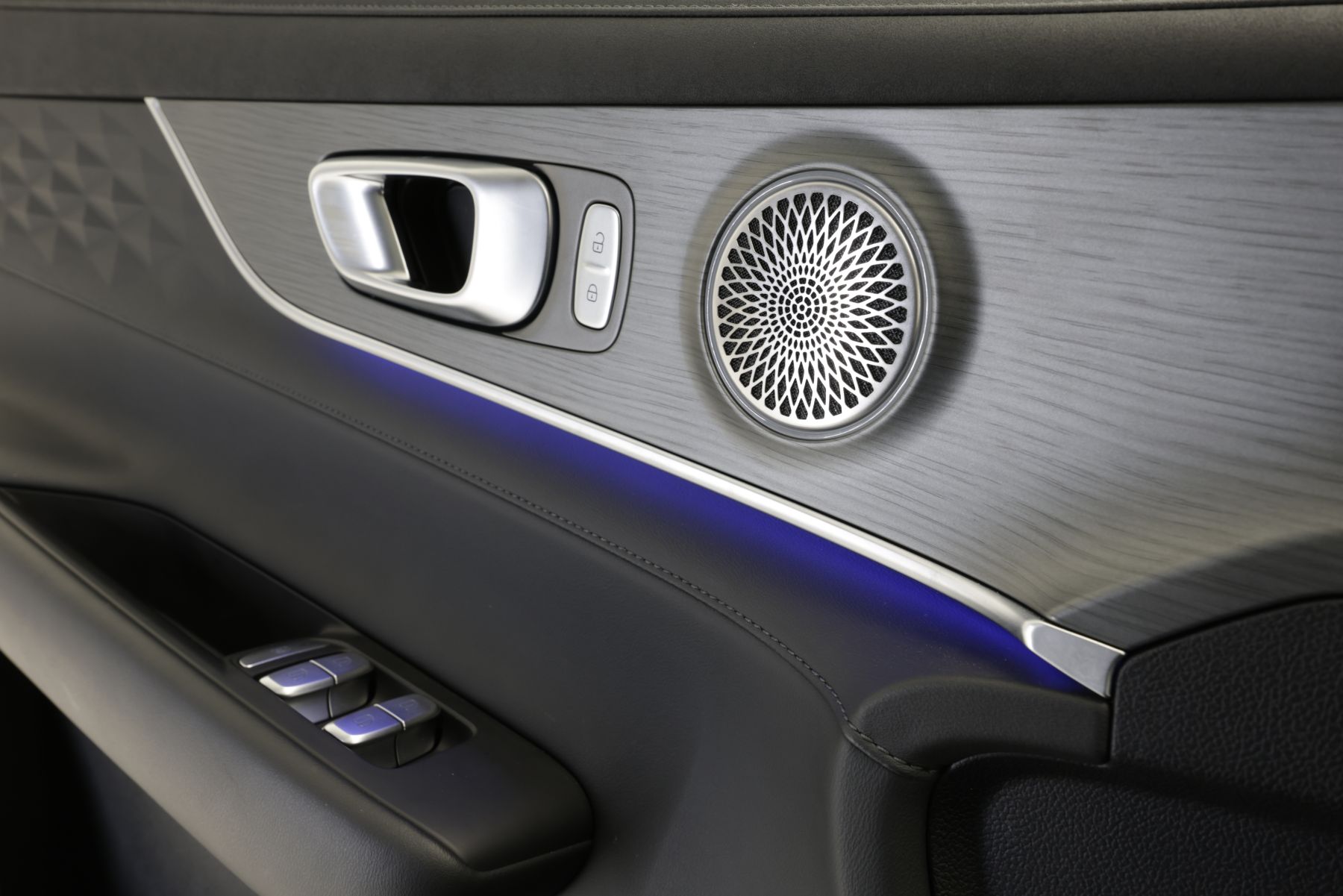 Detalle del panel de puertas del Ebro S800, que destaca por su acabado de lujo y tecnología.