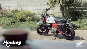 25YM Honda Monkey 125