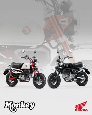 La Honda Monkey 125 2025, un ícono urbano con un consumo excepcional de 1,5 l/100 km.