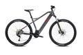 BH Atom 29