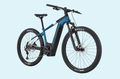 CANNONDALE TRAIL NEO2