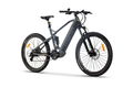 Moma e-MTB Full Pro
