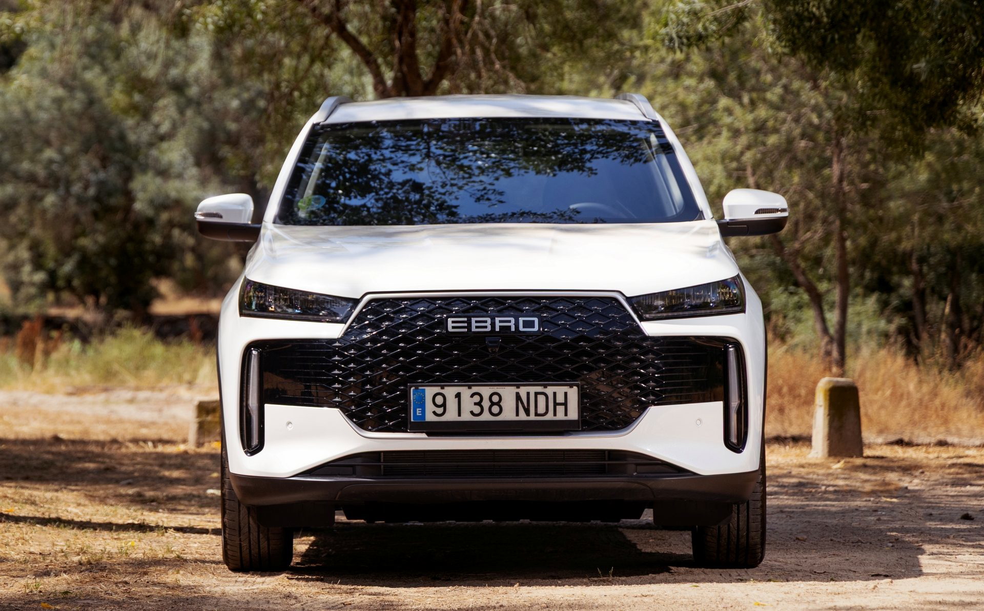 Impactante diseño frontal con parrilla distintiva y faros modernos.