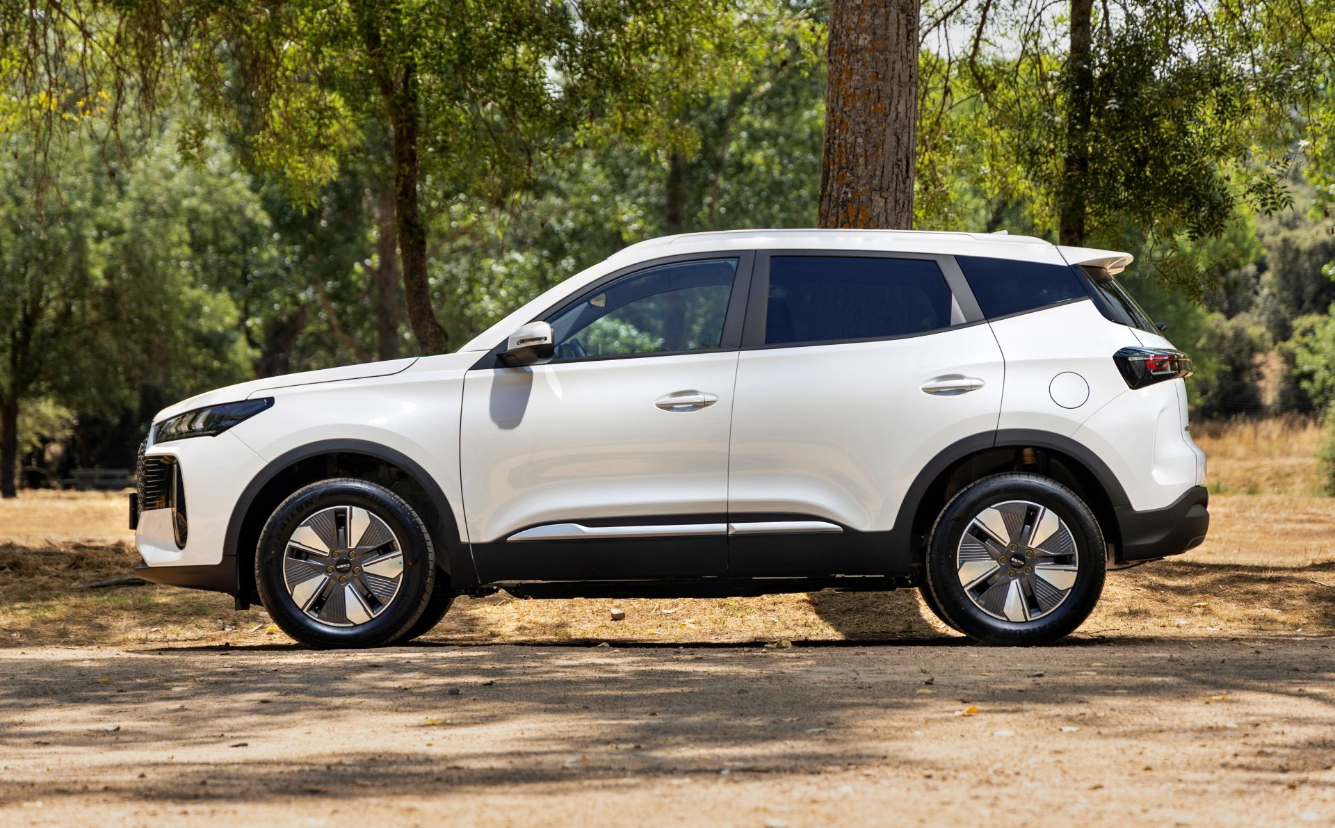 SUV bien equipado, con más de 200 CV, gran alternativa a híbridos.