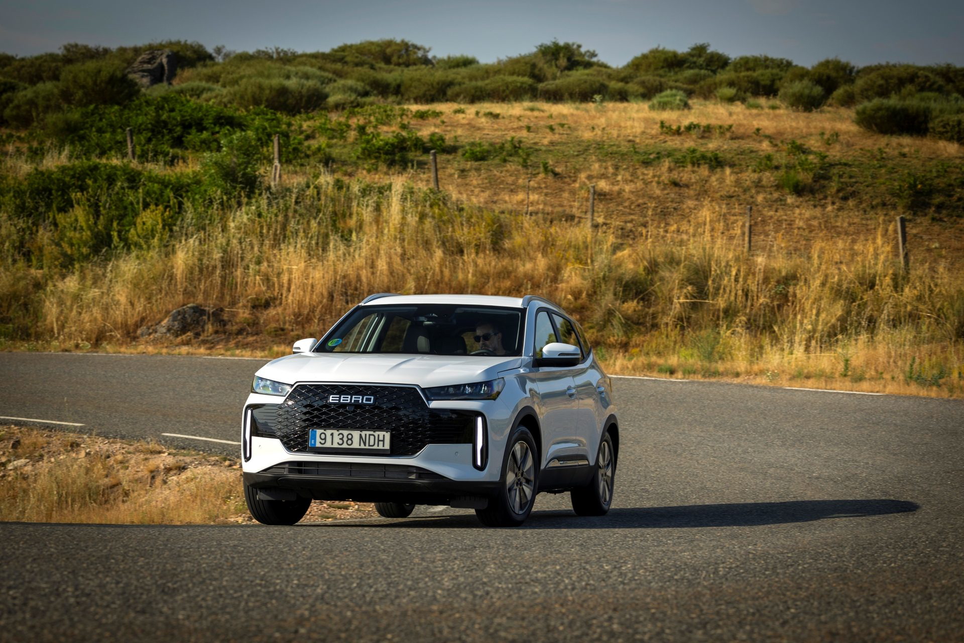 Bien equipado y con más de 200 CV, este SUV se presenta como una alternativa a los híbridos de Toyota y Renault.