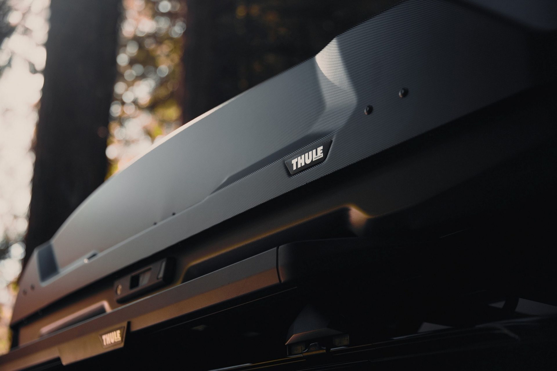 Vista del portaequipajes Thule, ideal para aventuras al aire libre.