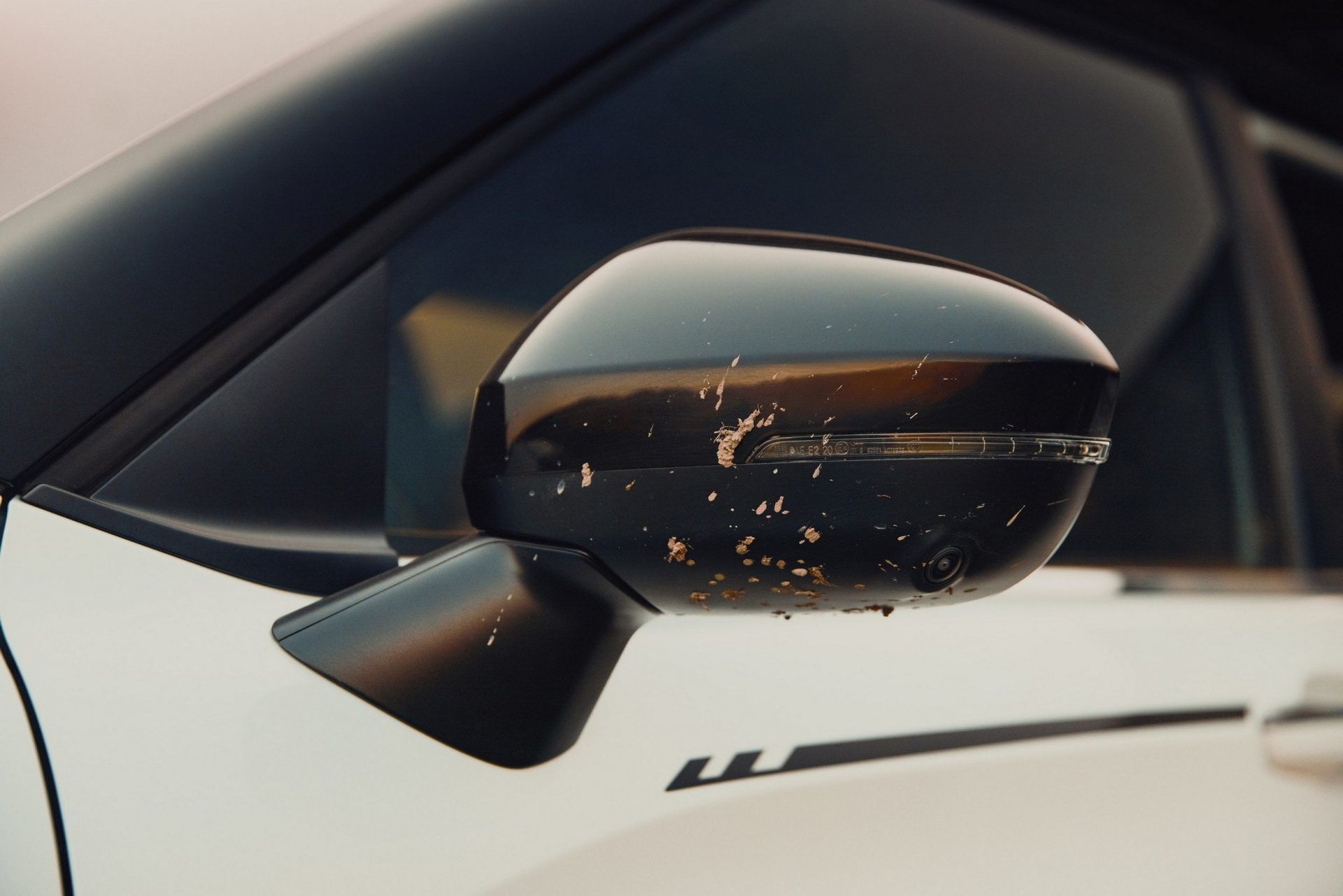 Espejo retrovisor con detalles que evidencian su uso off-road.