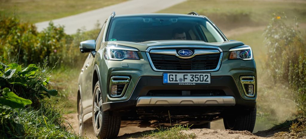 Forester E Boxer High 184 thumbnail Forester E Boxer High 184 thumbnail