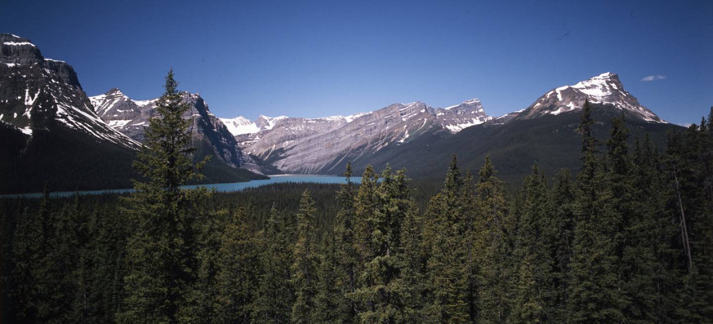 Icefields_Parkway_17