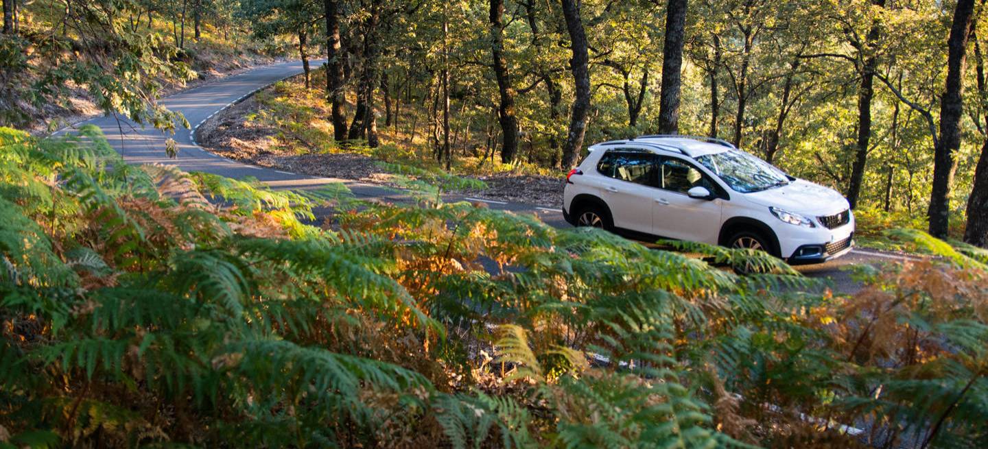 peugeot_2008_roadtrip_dm_10