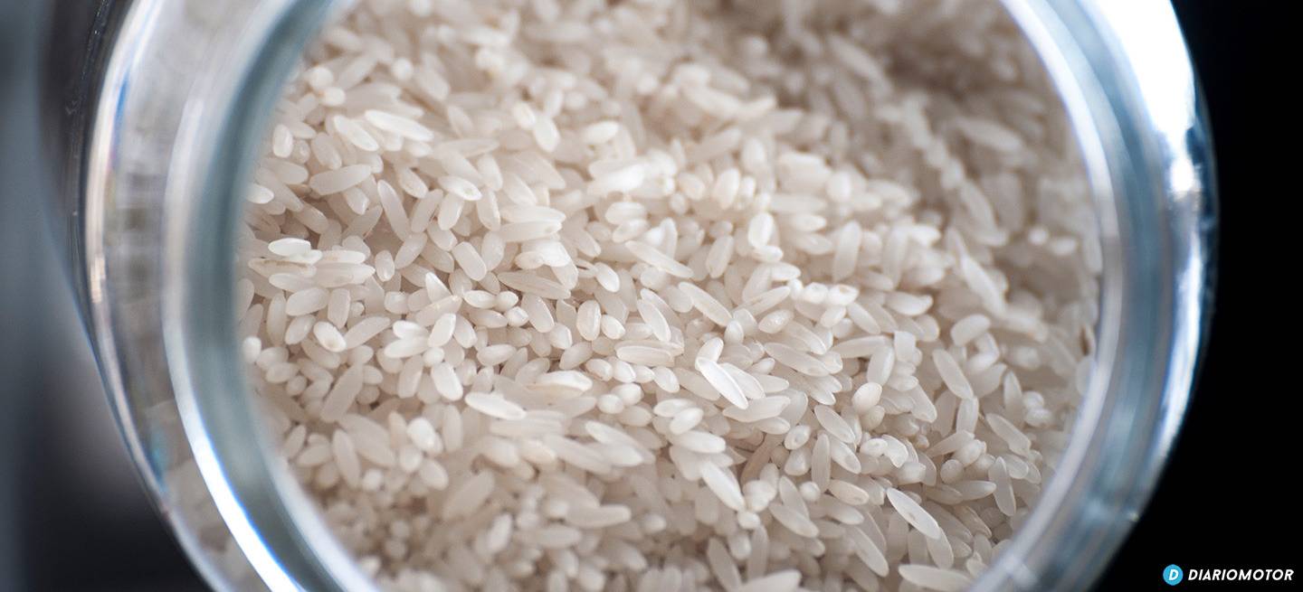 arroz-mdm-16-1440px