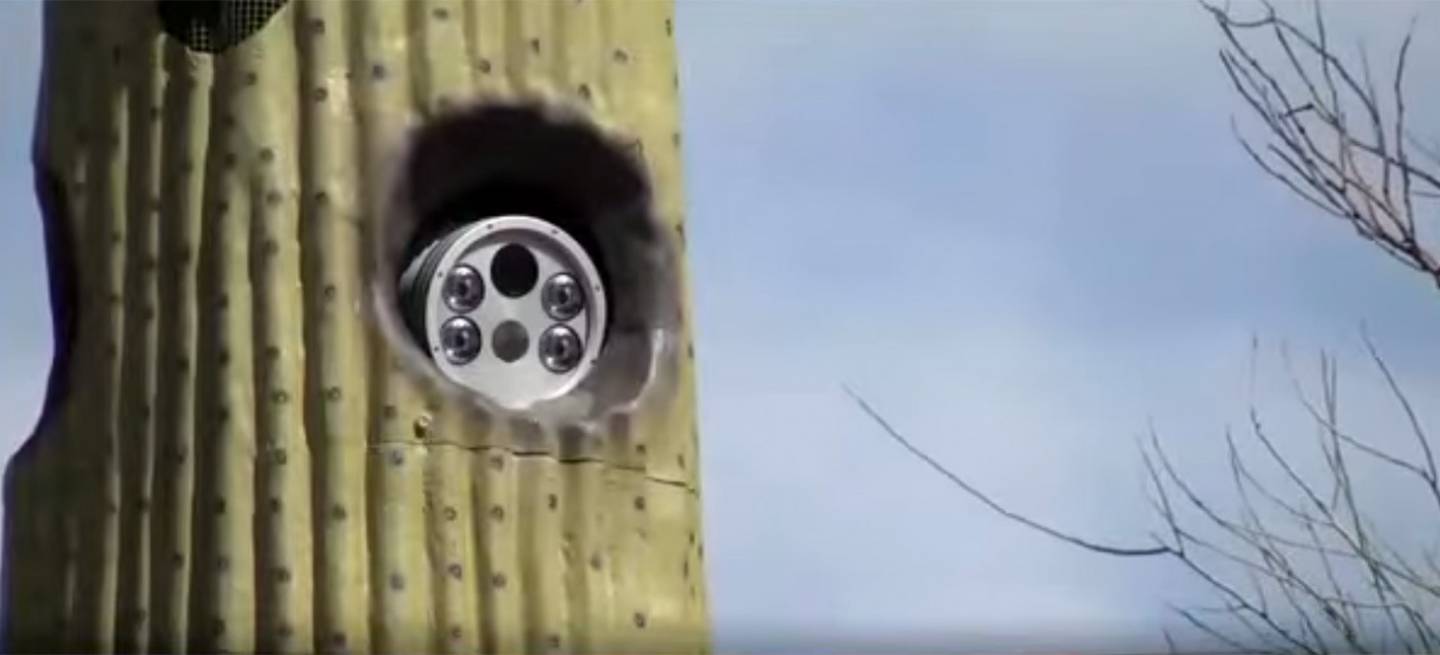 cactus-camara-arizona-1440px