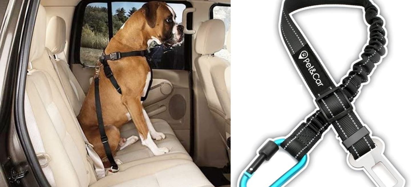 Si llevas a tu perro en coche, cuidado con el arnés: opta siempre por uno con mosquetón como este de 13 euros y buena | Diariomotor