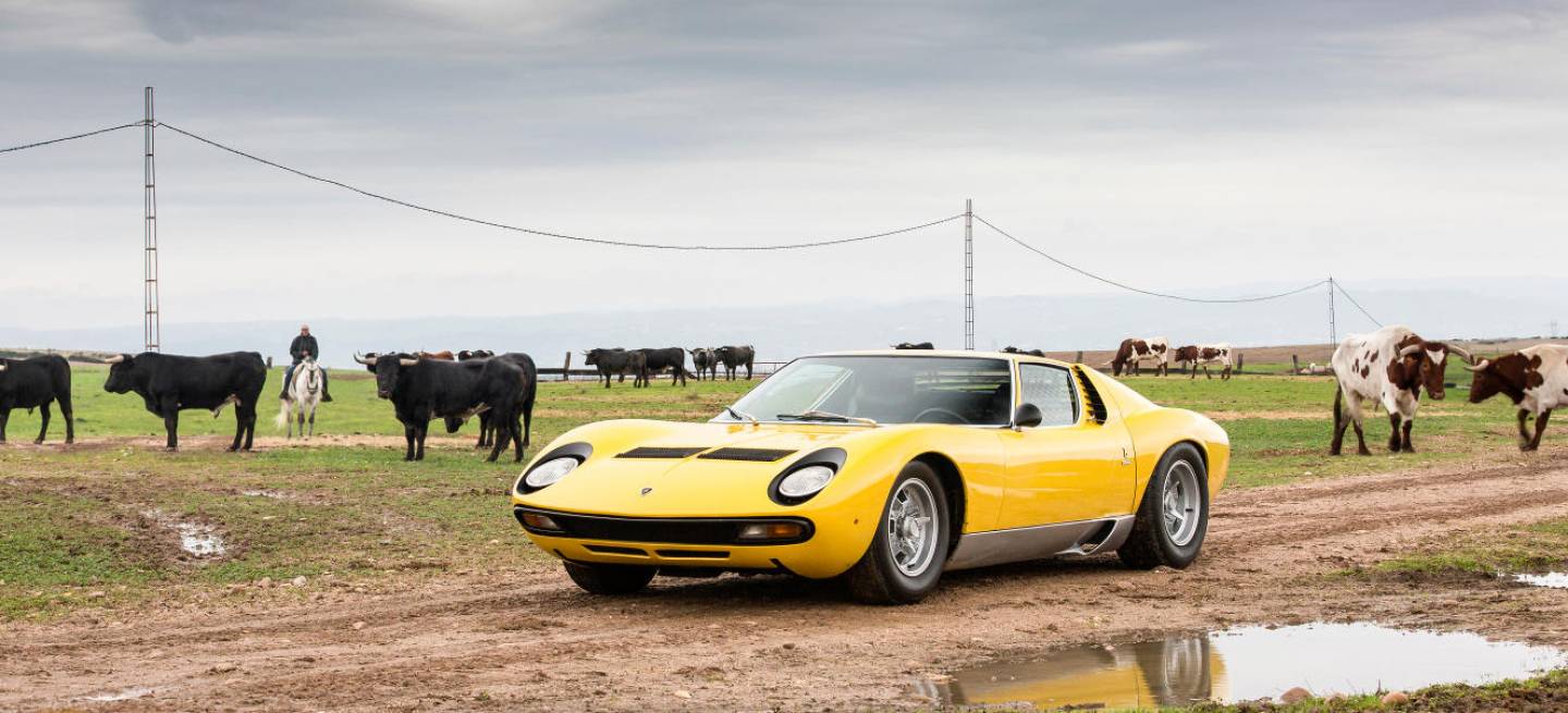 lamborghini_miura_ganaderia_dm_8