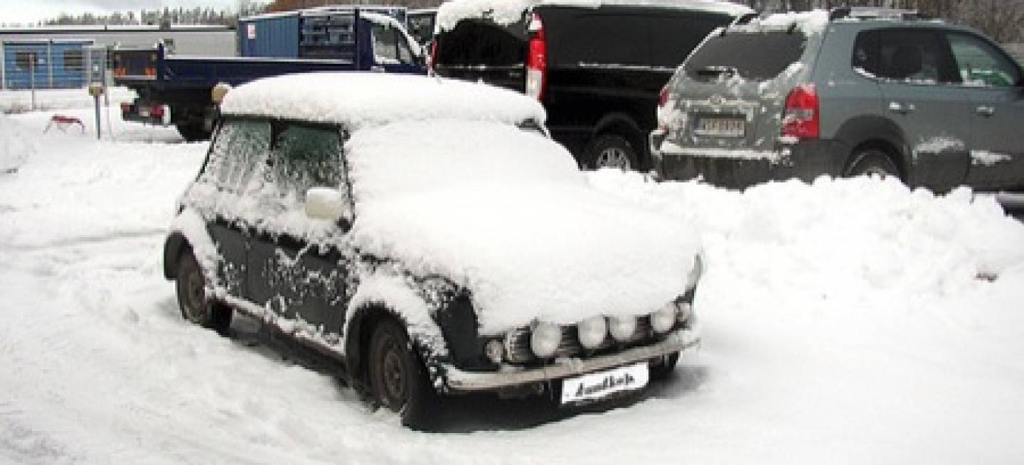 Mini nevado