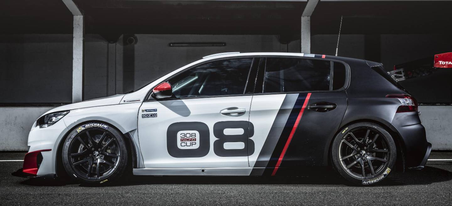 peugeot_308_Racing_Cup_DM_2015_8