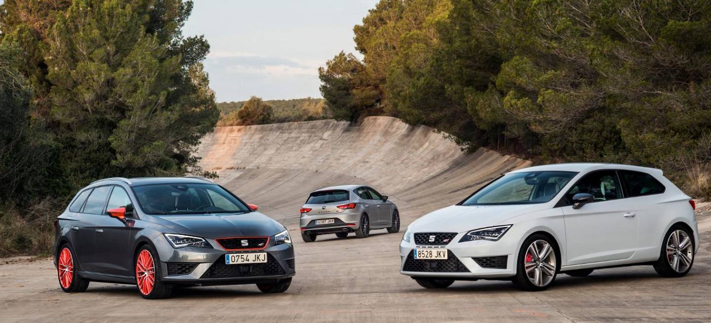 portada_003LEONCUPRA290