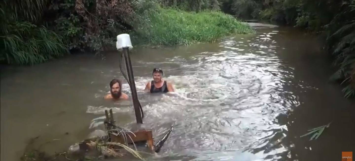redneck-anfibio