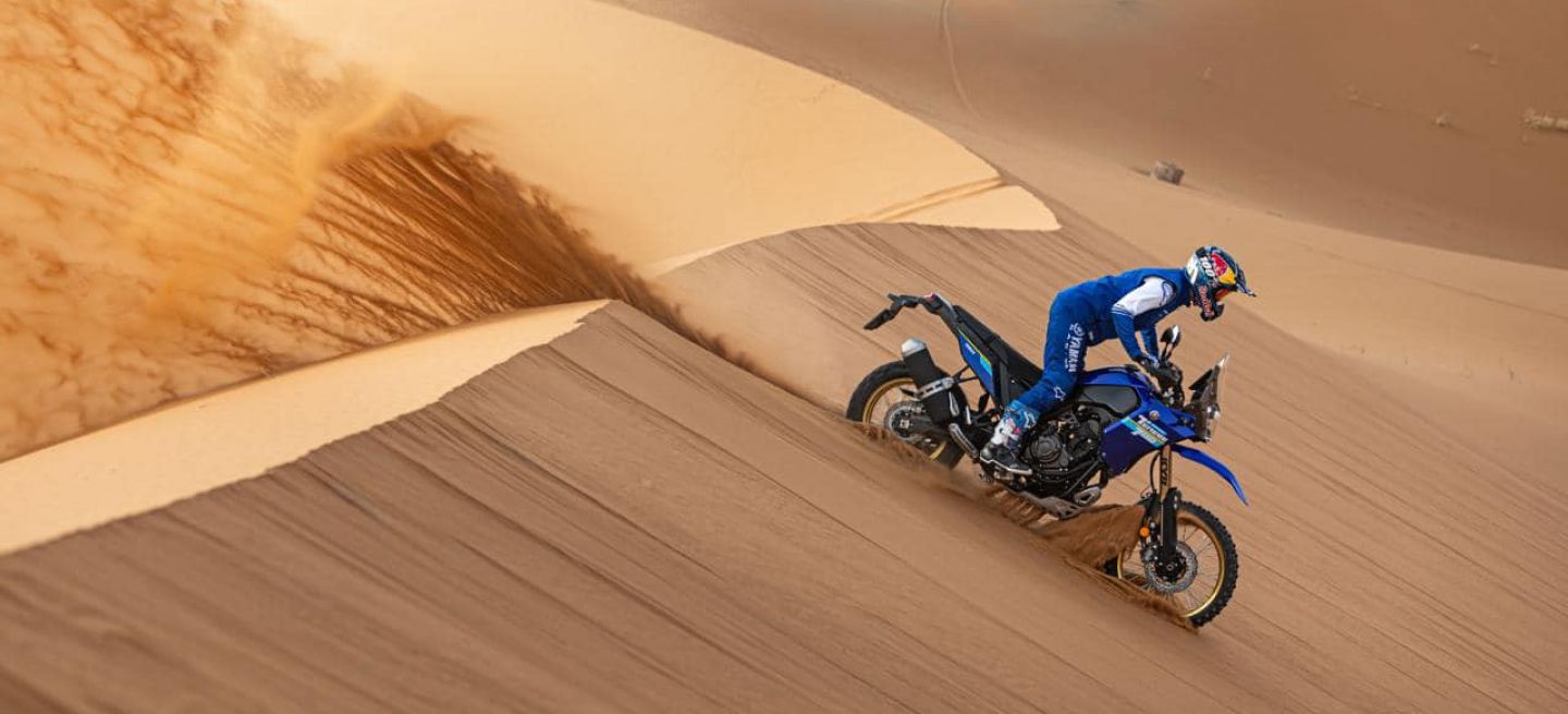 Stéphane Peterhansel