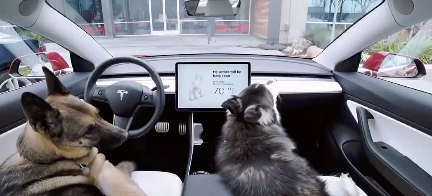 Tesla Dog Mode 0219 01 Tesla Dog Mode 0219 01